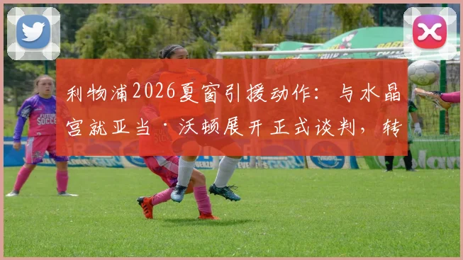 利物浦2026夏窗引援动作：与水晶宫就亚当·沃顿展开正式谈判，转会细节曝光